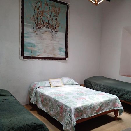 Готель Casa Aldama 83 Сан-Міґель-де-Альєнде Екстер'єр фото