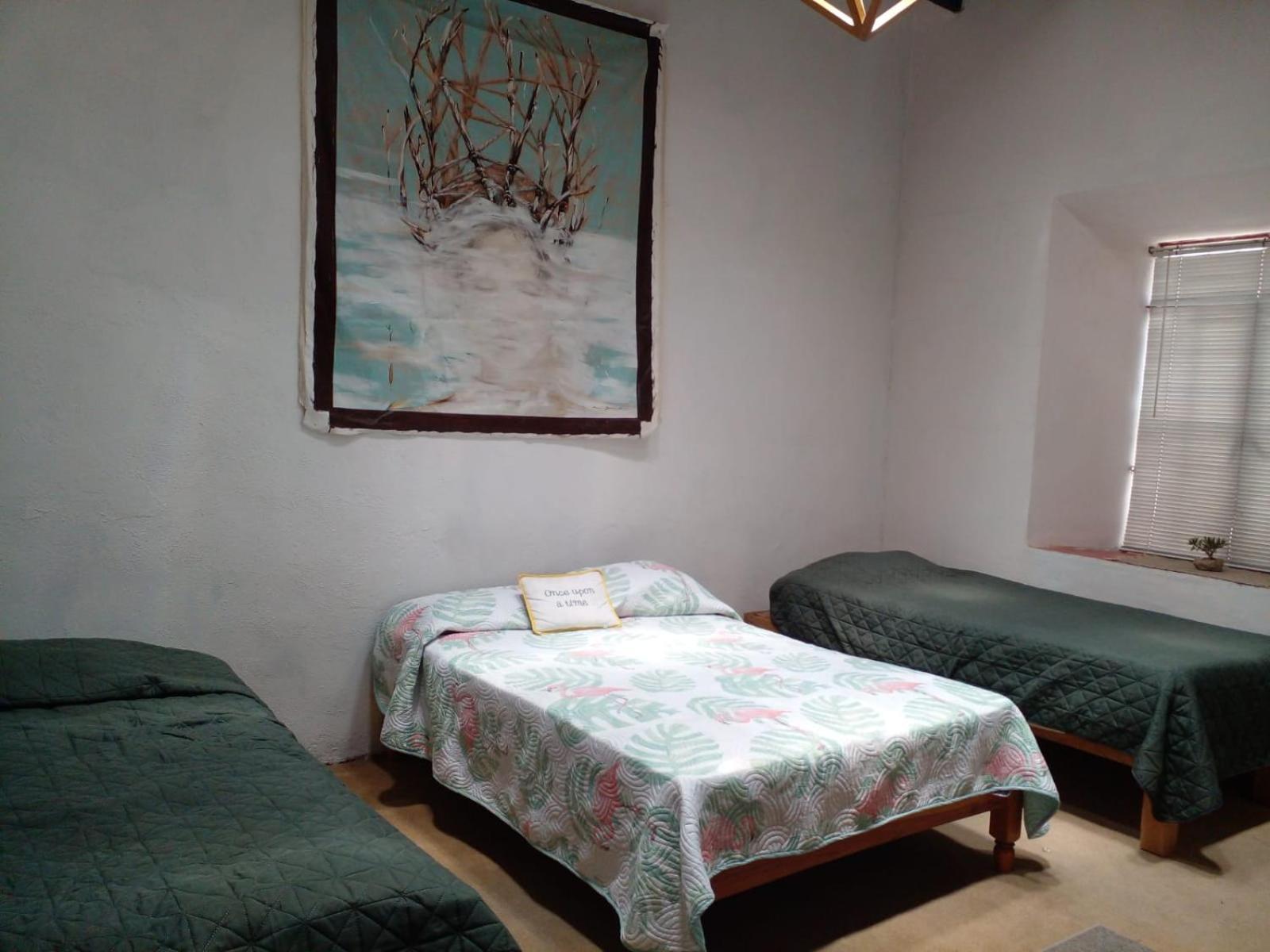 Готель Casa Aldama 83 Сан-Міґель-де-Альєнде Екстер'єр фото